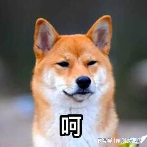b8GJ8VtOjJt8F822.jpg
